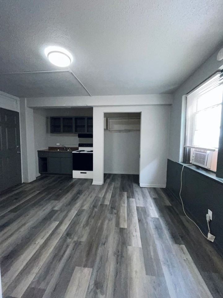 Jones Colfax 2207 Jones - Photo 7 of 12