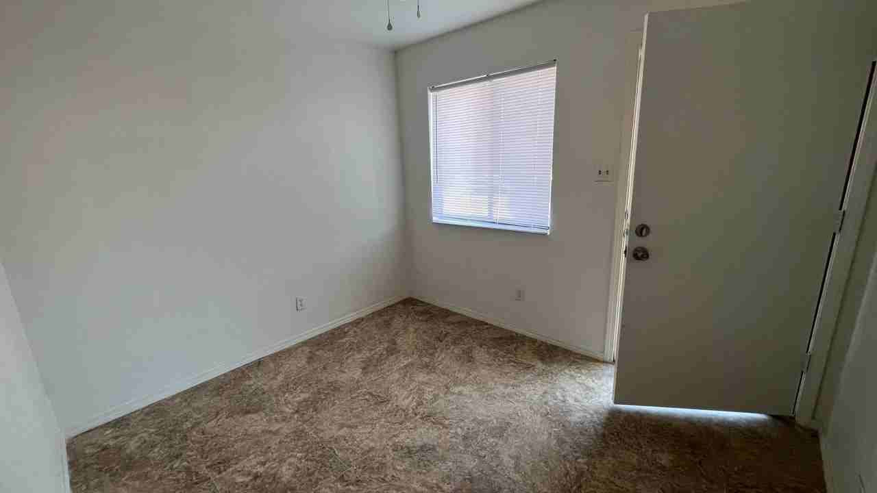 Fir 785 - Photo 3 of 9