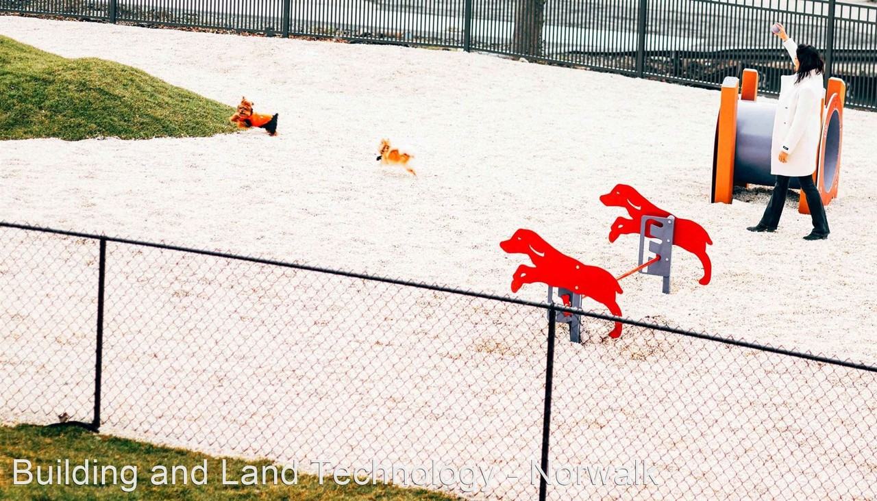 The Curb - Photo 3 of 50