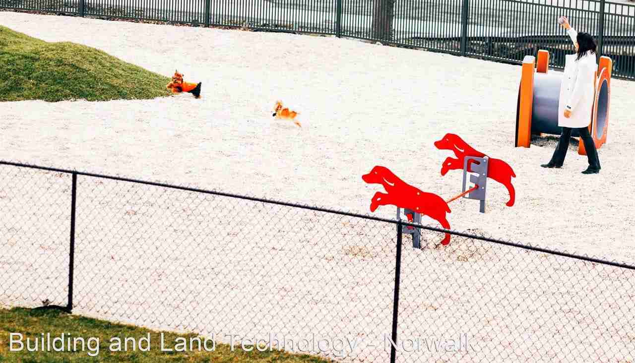 The Curb - Photo 3 of 50