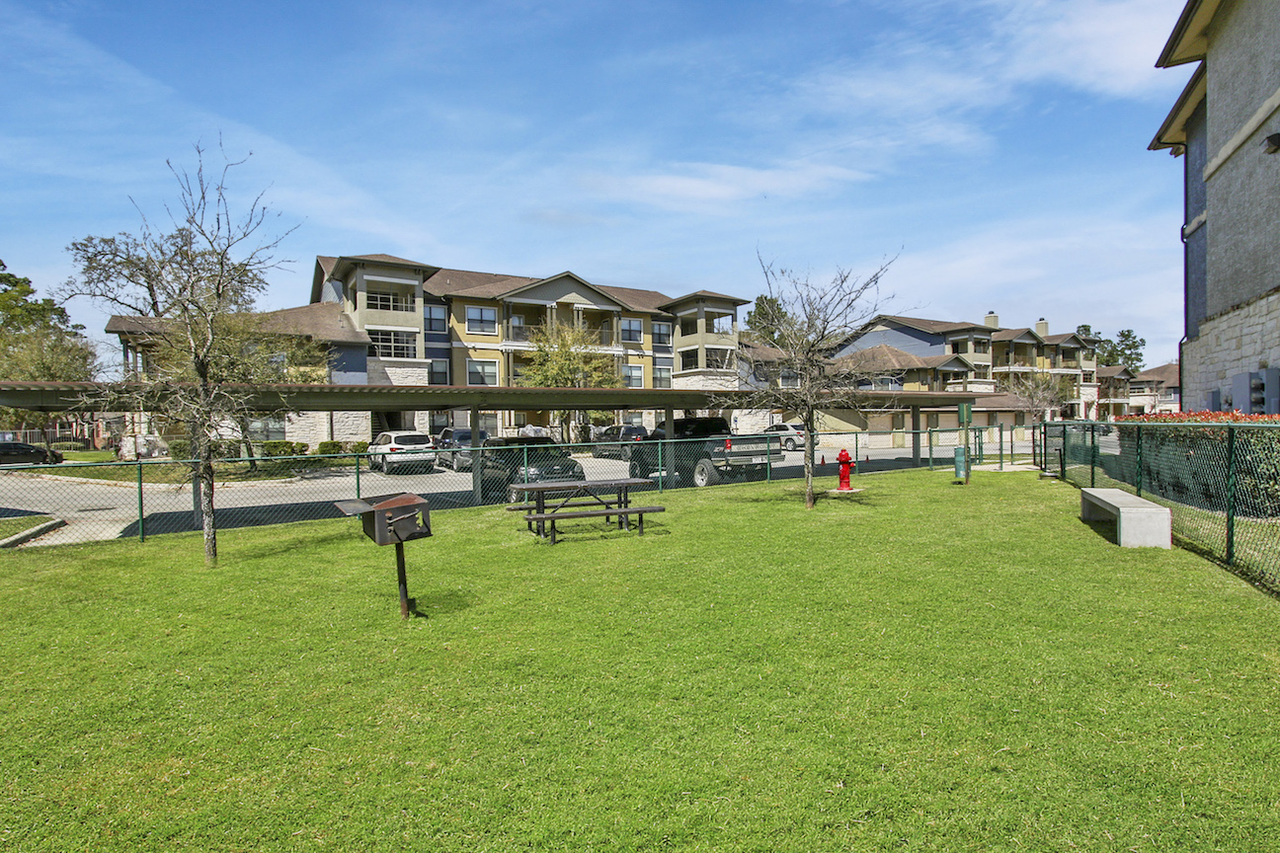 Hollow Tree Park - Photo 6 of 38