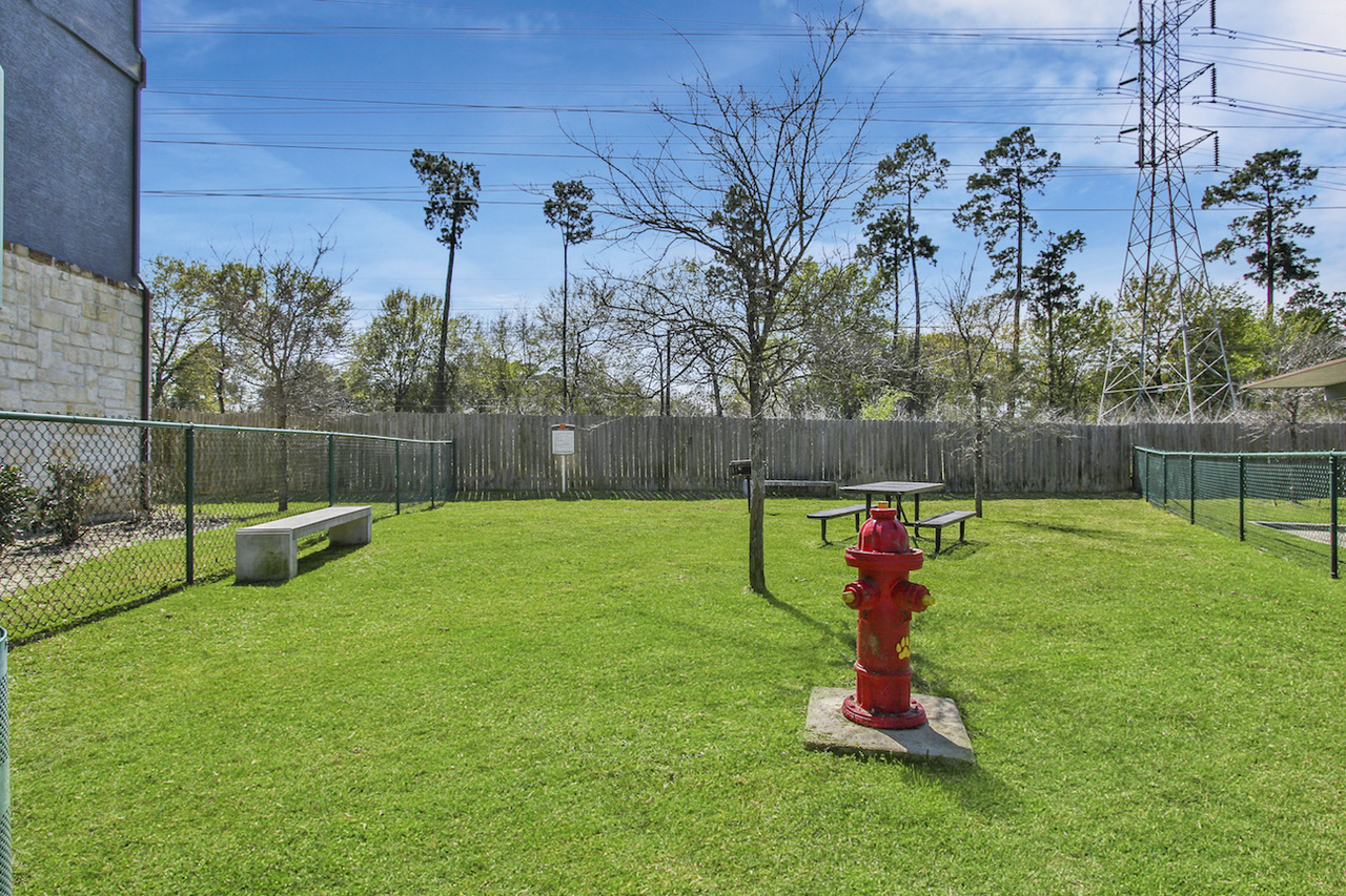 Hollow Tree Park - Photo 7 of 38