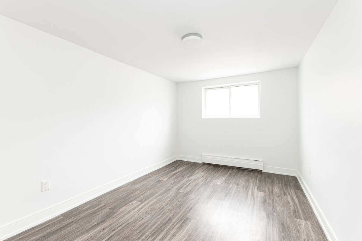 135 Connaught Avenue & 543 Mornington Avenue - Photo 6 of 9