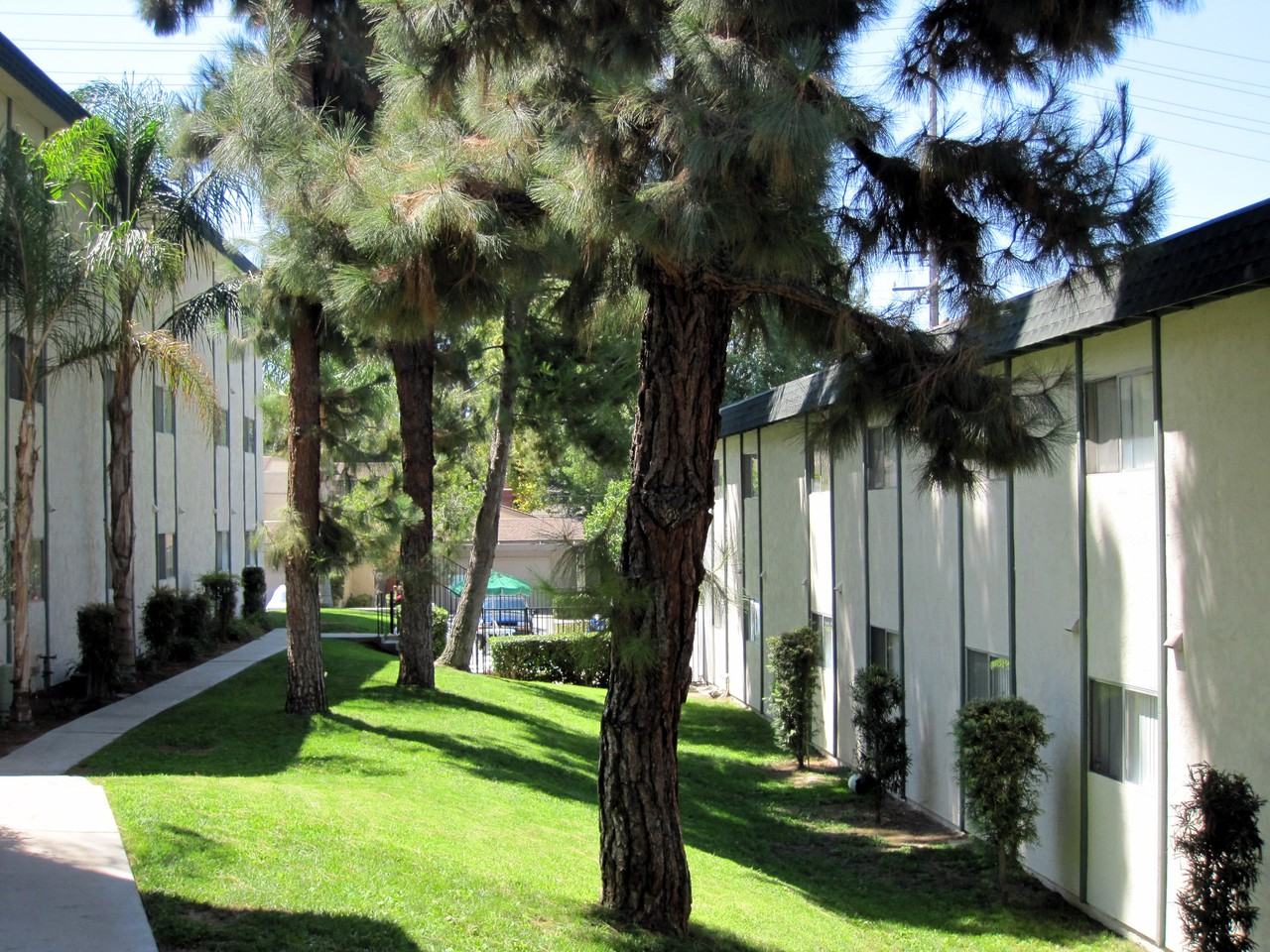 5310 Canyon Crest Drive #1 - Photo 7 of 19