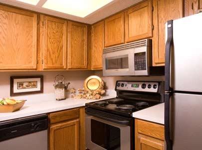 Summertree - Photo 3 of 6