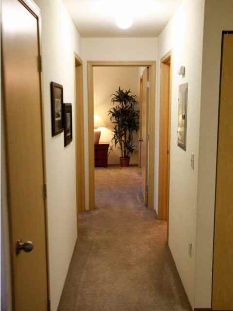 Allegro - Photo 2 of 21