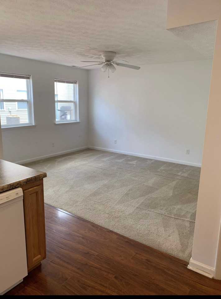 113 Pine Street #113 - Photo 2 of 11