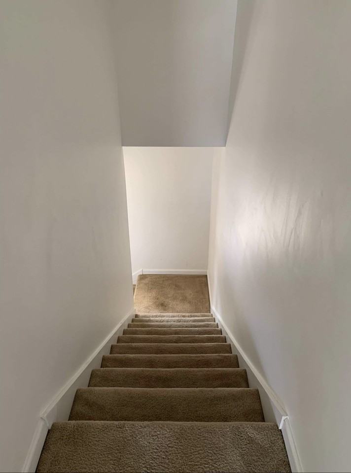 113 Pine Street #113 - Photo 3 of 11