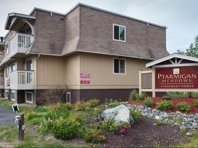 Ptarmigan Meadows - Photo 3 of 9