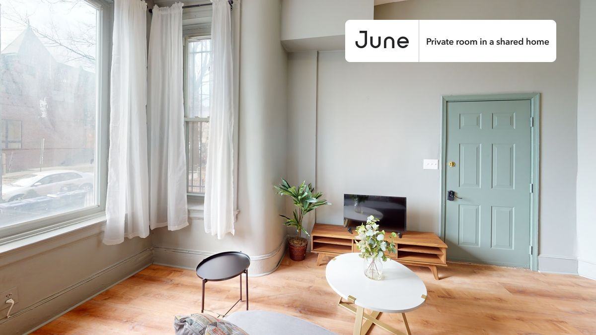 1227 Harvard St Nw #A - Photo 7 of 18