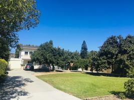 featured image of 16 Lemon Dr