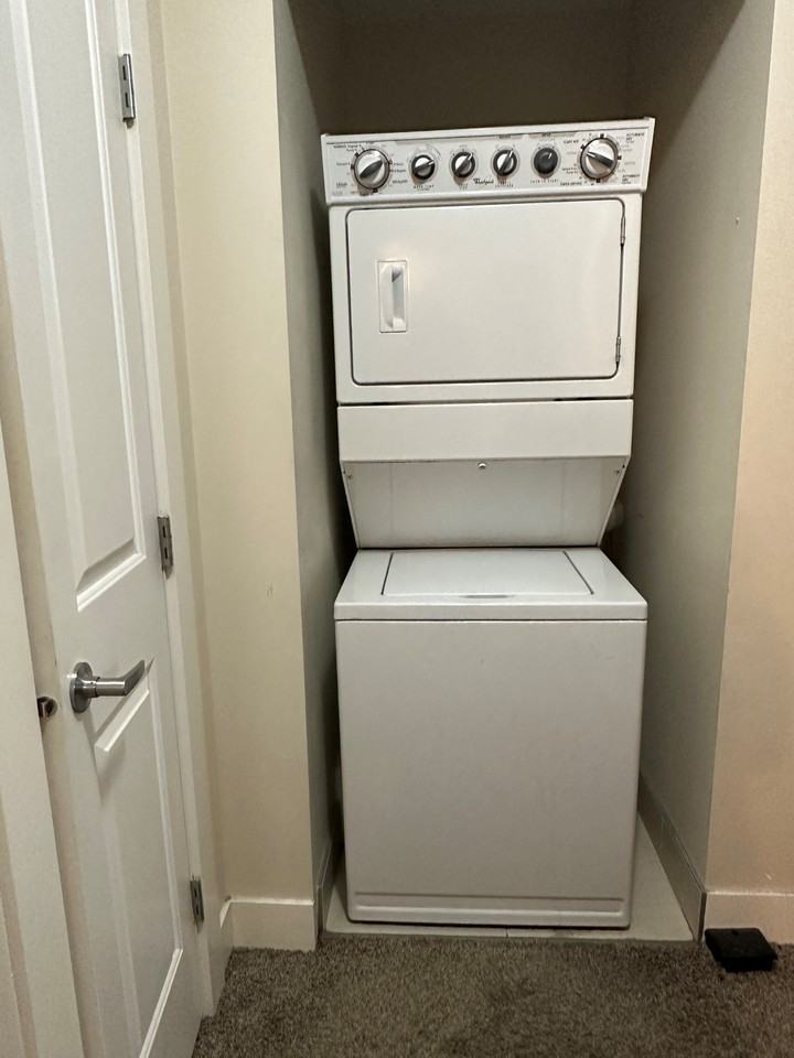 1245 Troy Avenue #5 - Photo 7 of 10