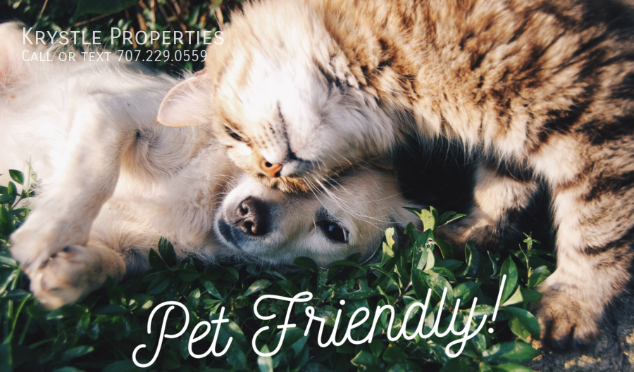 191 B St - Photo 2 of 16