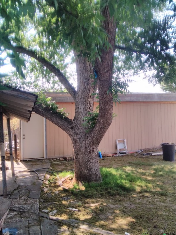 1306 W Yucca Ave - Photo 3 of 15
