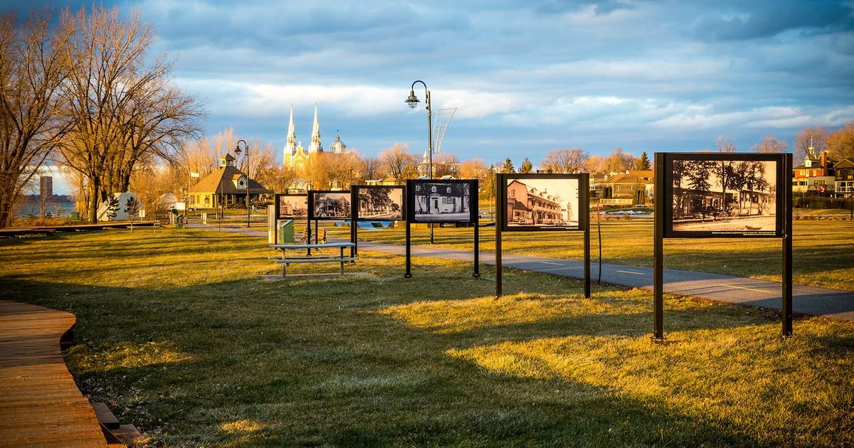 Érables - Photo 3 of 5