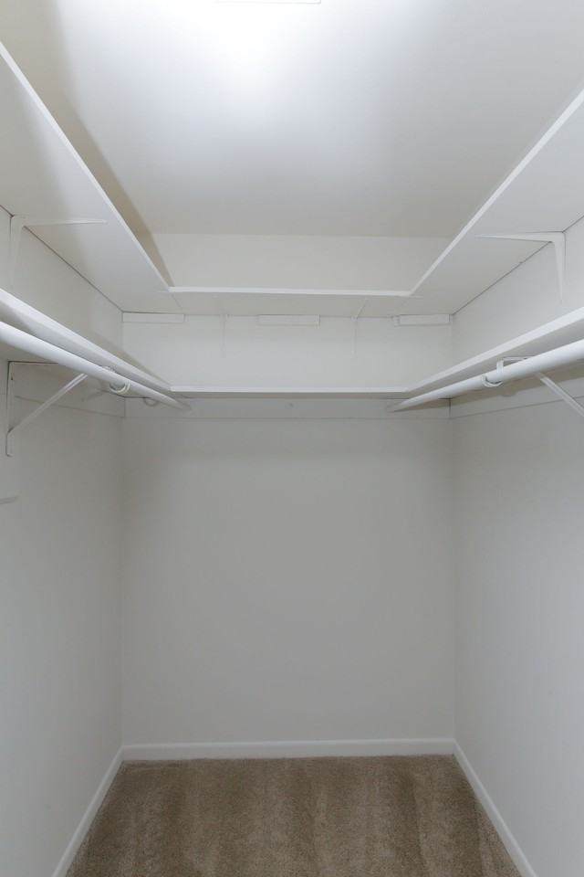 Chatham Gardens - Photo 2 of 10