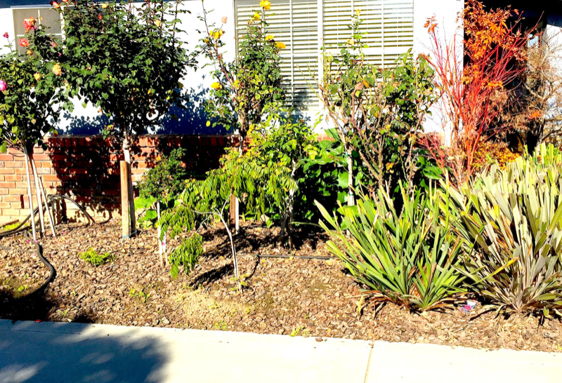 1771 Meridian Ave - Photo 2 of 5