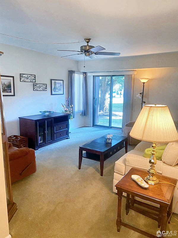 803 Jacob Ct - Photo 3 of 16