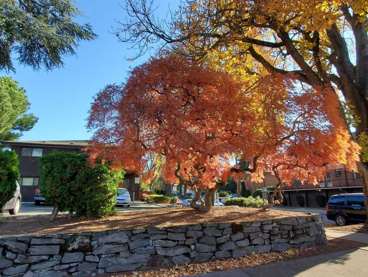 Welcome to Irvington Court Apartments - Photo 2 of 25