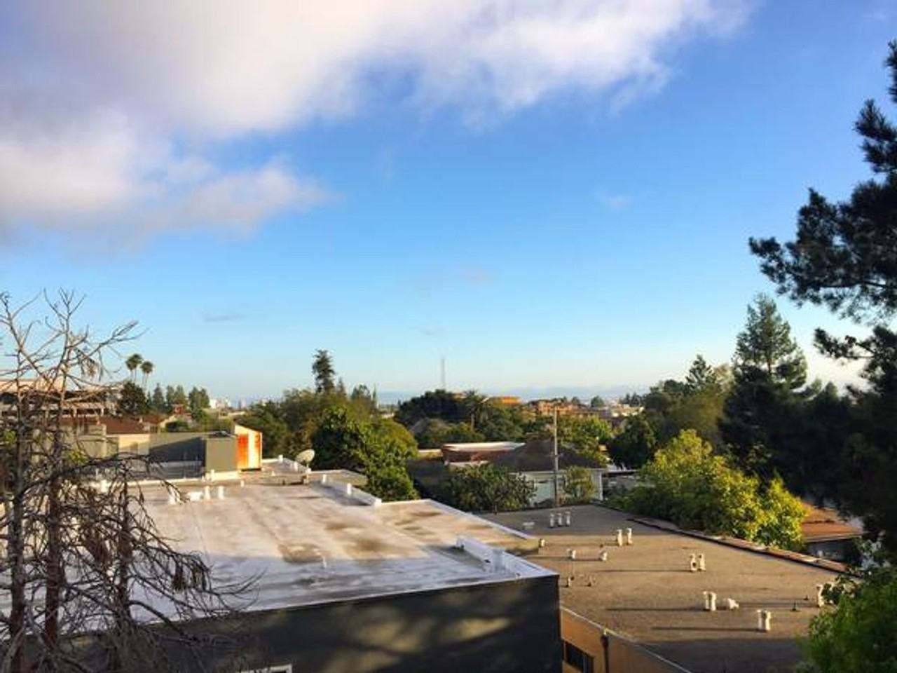 1920 Francisco LLC - Photo 3 of 10