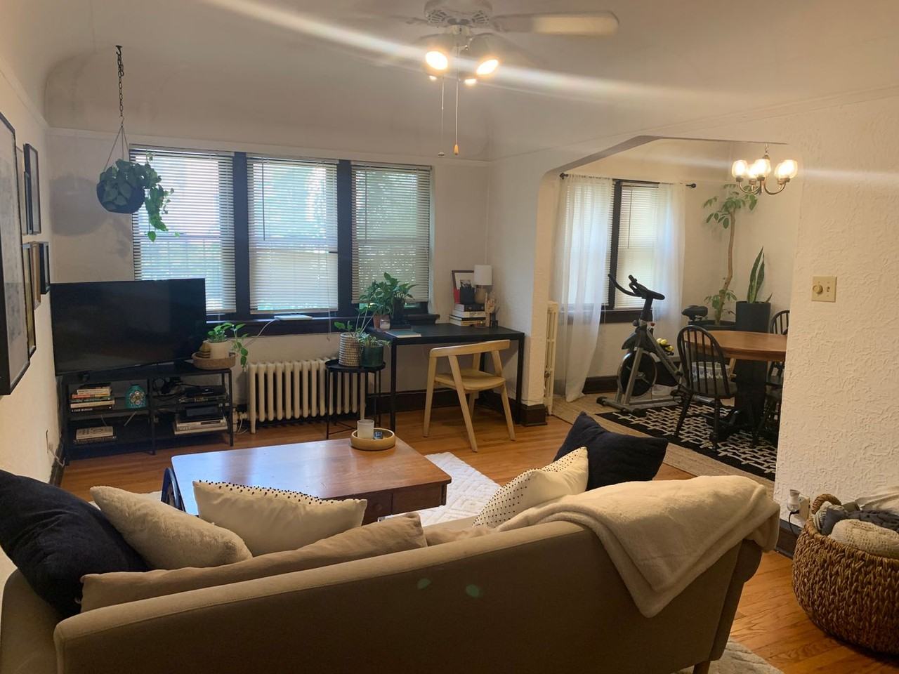 Senorita Apartments - Photo 2 of 9