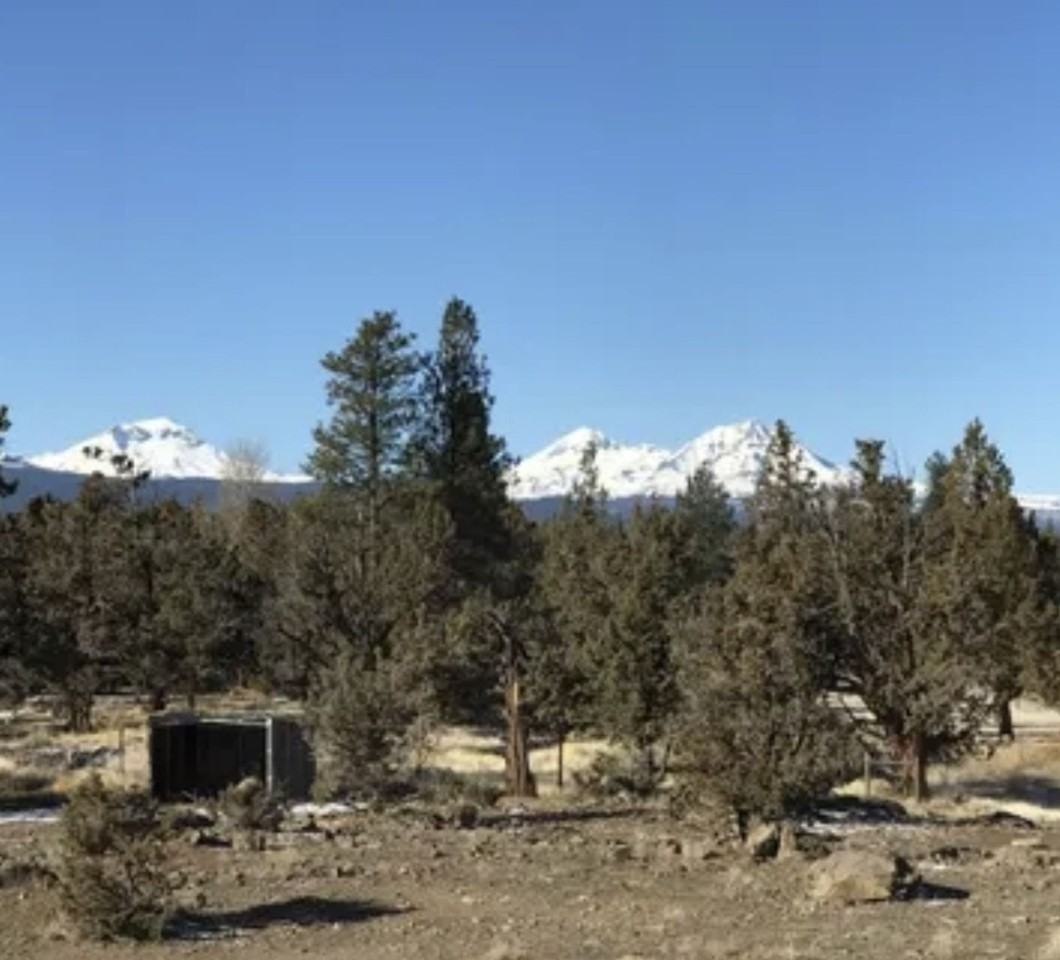 18550 Couch Market Rd - Photo 5 of 47