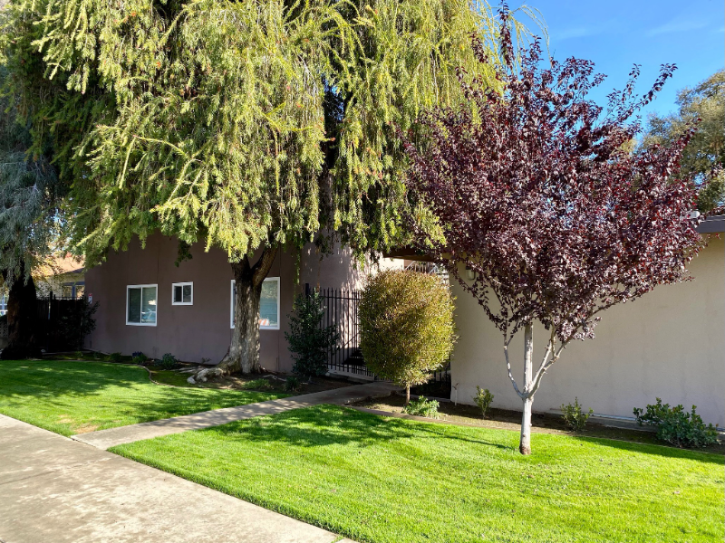 718 N Floral St #11 - Photo 2 of 49