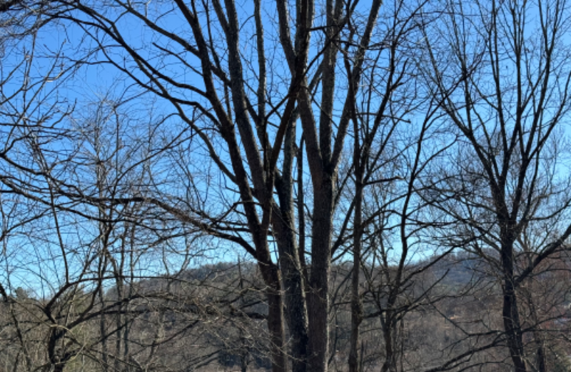 521 Pond Rd - Photo 5 of 26