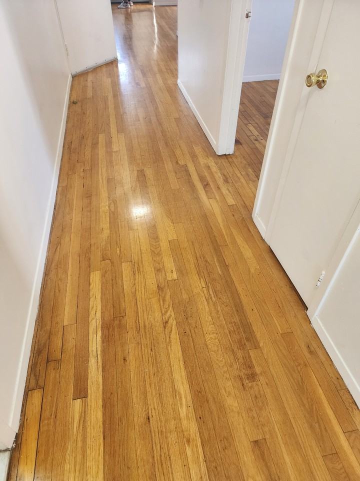 242 Blair Ave #2 - Photo 2 of 11
