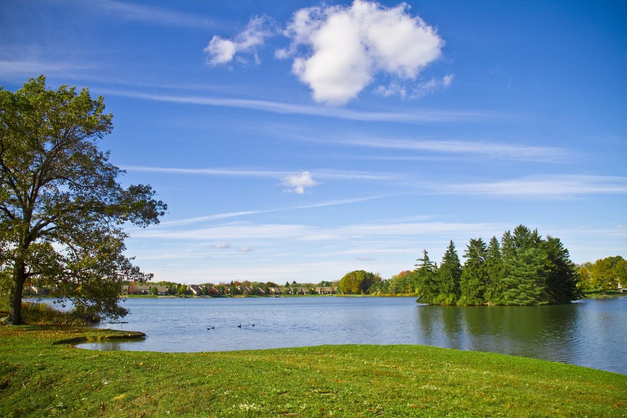 179 Lakeshore Ct #NA - Photo 5 of 7