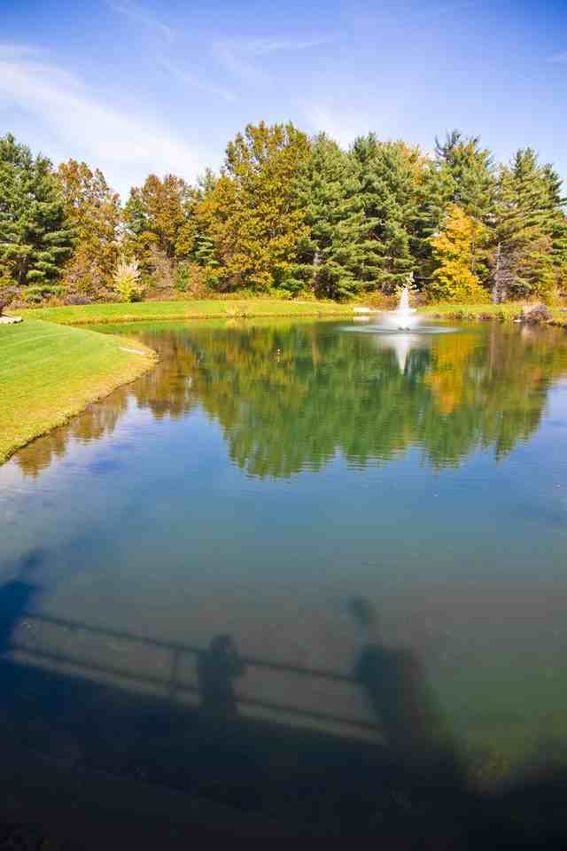 179 Lakeshore Ct #NA - Photo 7 of 7