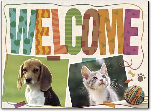 1337 N Madison St #3