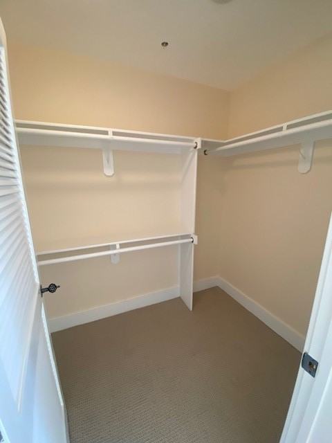 1203 31st Street Northwest #A - Photo 5 of 22