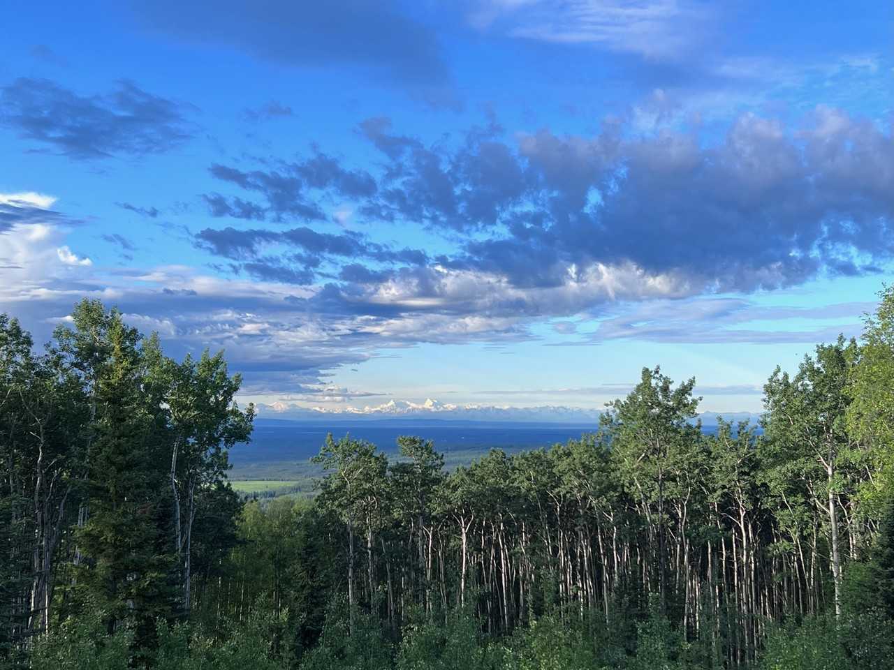 830 Redpoll Ln #NA - Photo 3 of 37