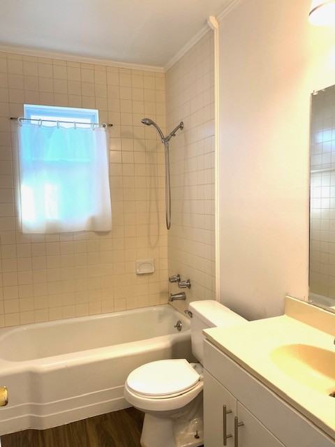 536 Dallas St #NA - Photo 7 of 8