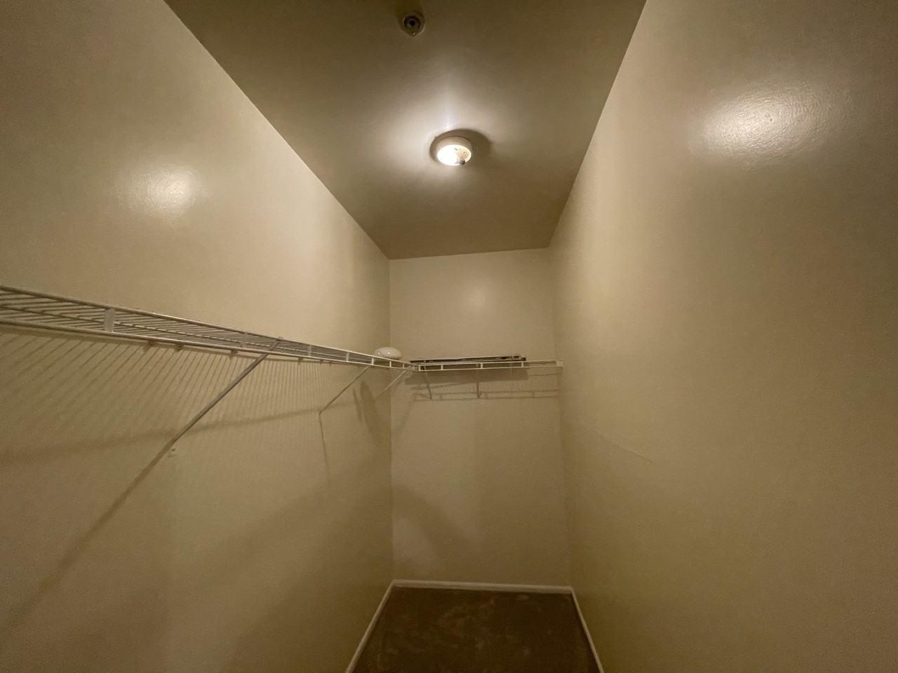 324 Coppola Dr #324 - Photo 3 of 11