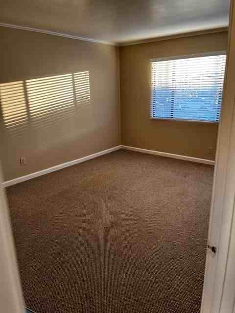 217 Lux Ave #4 - Photo 3 of 4