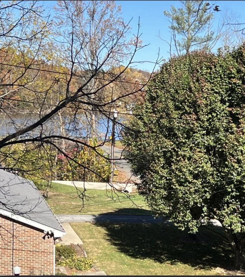 311 Redstone Dr #311 - Photo 2 of 13