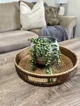 1010 8th St #11 - Photo 1 of 1