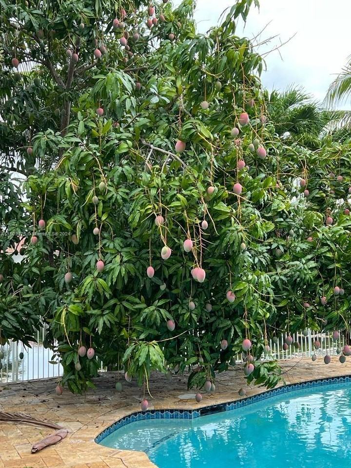 3812 Sw 166th Ave #NA - Photo 3 of 3