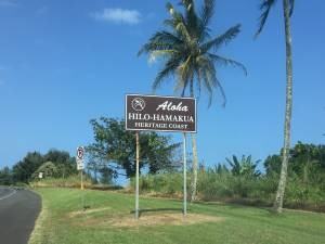 32-890 Hanamalo Lane #NA - Photo 2 of 26