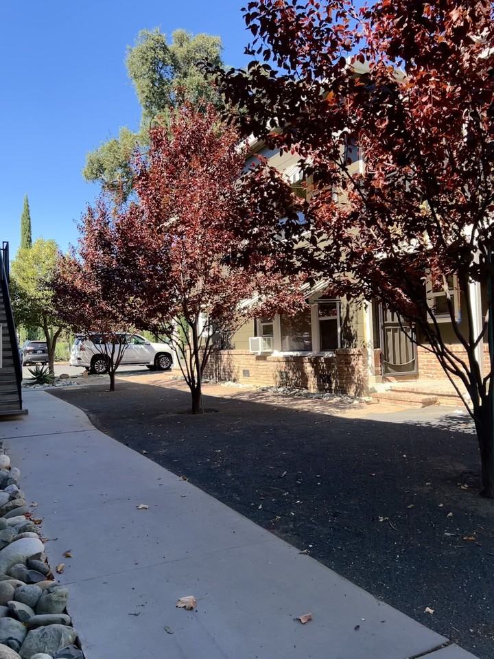 310 4th St #4 - Photo 2 of 17