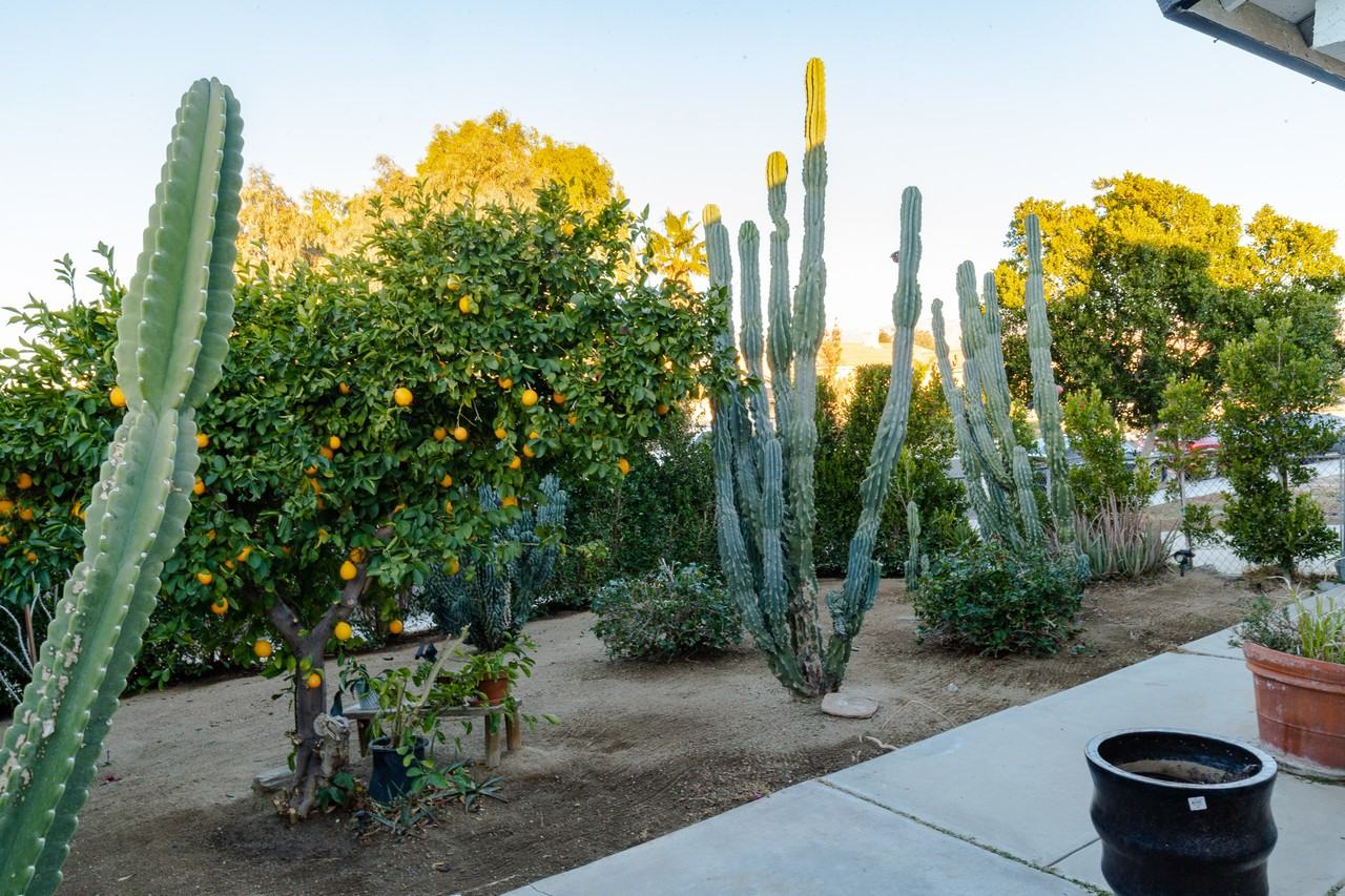 15490 Avenida Rambla #NA - Photo 3 of 14