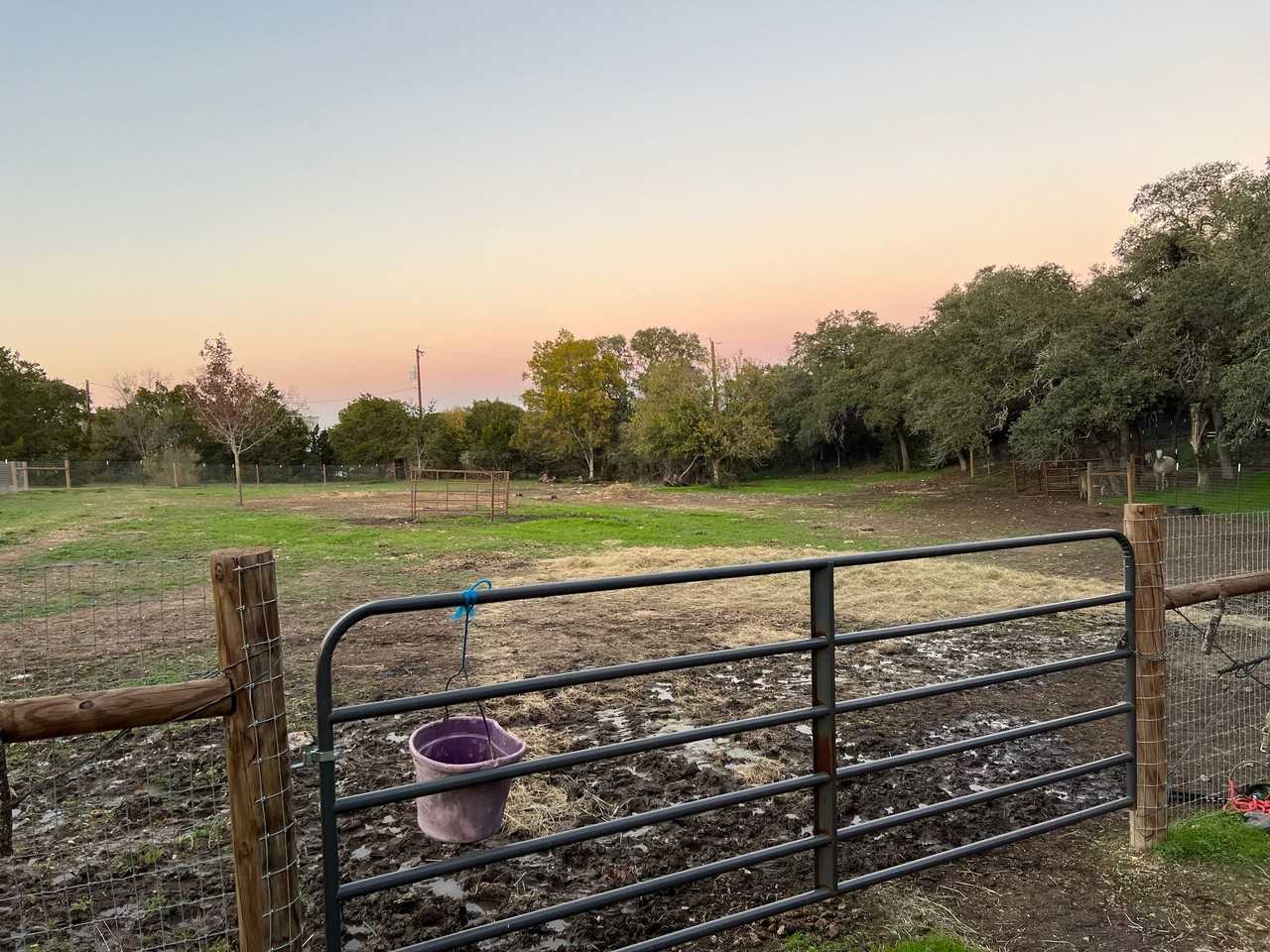 23970 Cavern Oak #NA - Photo 3 of 20