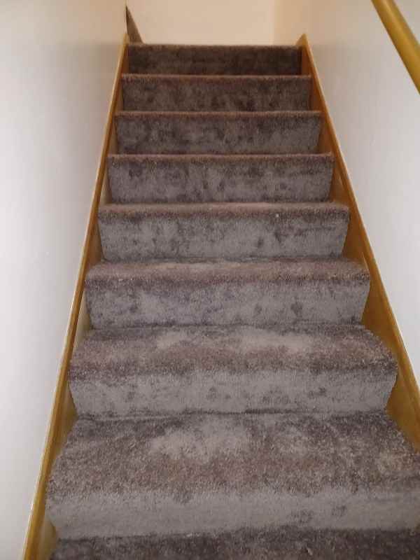 9322 Ryan Pl #NA - Photo 2 of 18