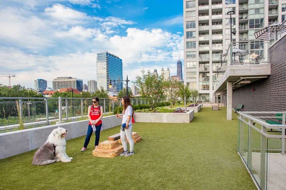 741 N Hudson Ave - Photo 6 of 15