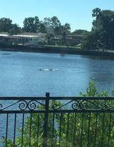 10510 Parkers Landing Dr #1 - Photo 1 of 1