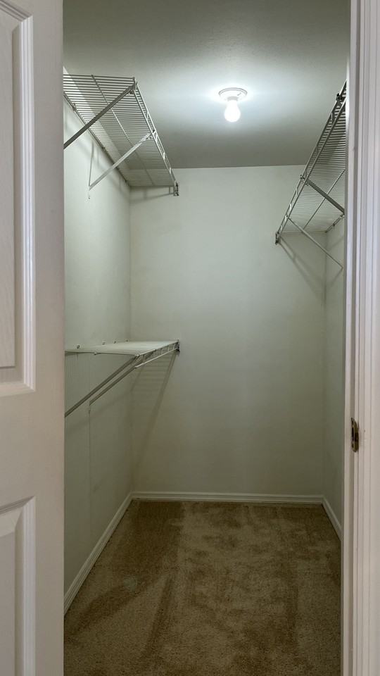 643 Green Jade Dr #0 - Photo 6 of 12