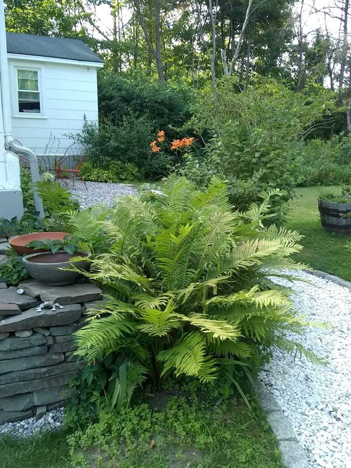 5 Moscow Rd #NA - Photo 3 of 41