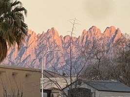 featured image of 2902 Quasar Dr #NA